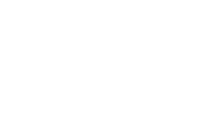 Diabetes-Australia-Healthcare-White-Logo
